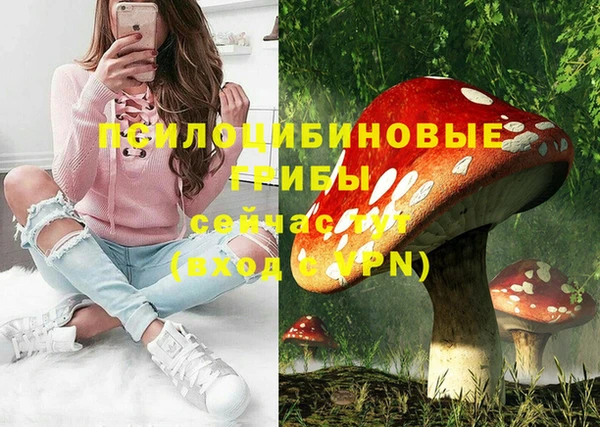 бошки Мурманск